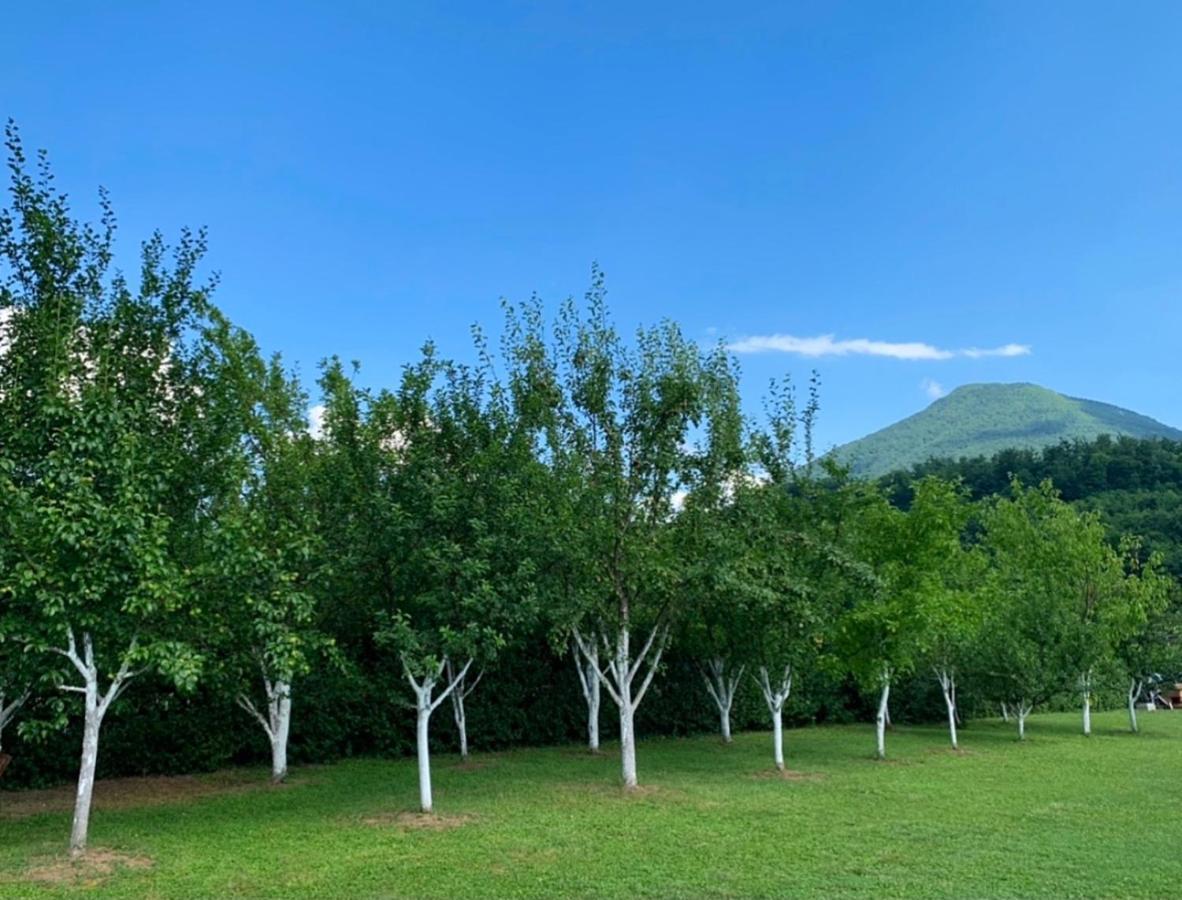 Crystal Racic Villa Bihac Bagian luar foto