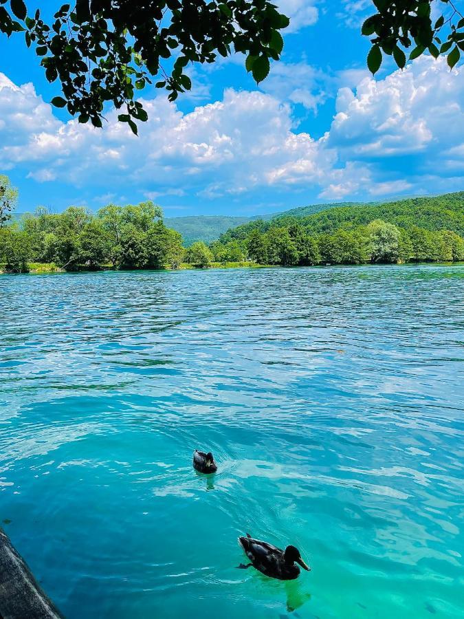 Crystal Racic Villa Bihac Bagian luar foto