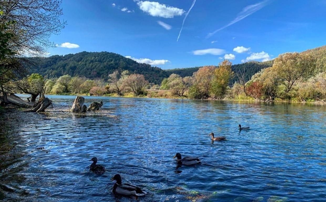 Crystal Racic Villa Bihac Bagian luar foto